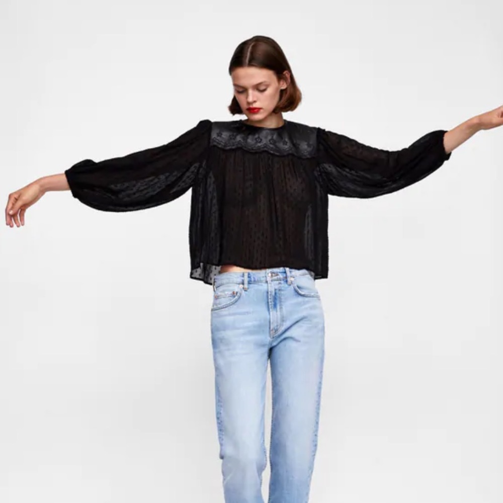 Zara Swiss Dot Sheer Blouse